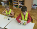 slika_11