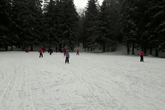 Šola v naravi (3. razred, Mariborsko Pohorje, 29. 2. - 4. 3. 2016)