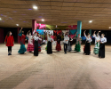 flamenco-ples