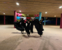 flamenco-plesalke