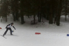 Področno tekmovanje v teku na smučeh (30. 3. 2018)