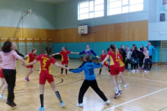 Polfinale državnega prvenstva v rokometu za dekleta (21. 3. 2016)