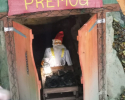 pravljicni_gozd_11
