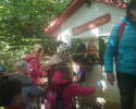 pravljicni_gozd_19